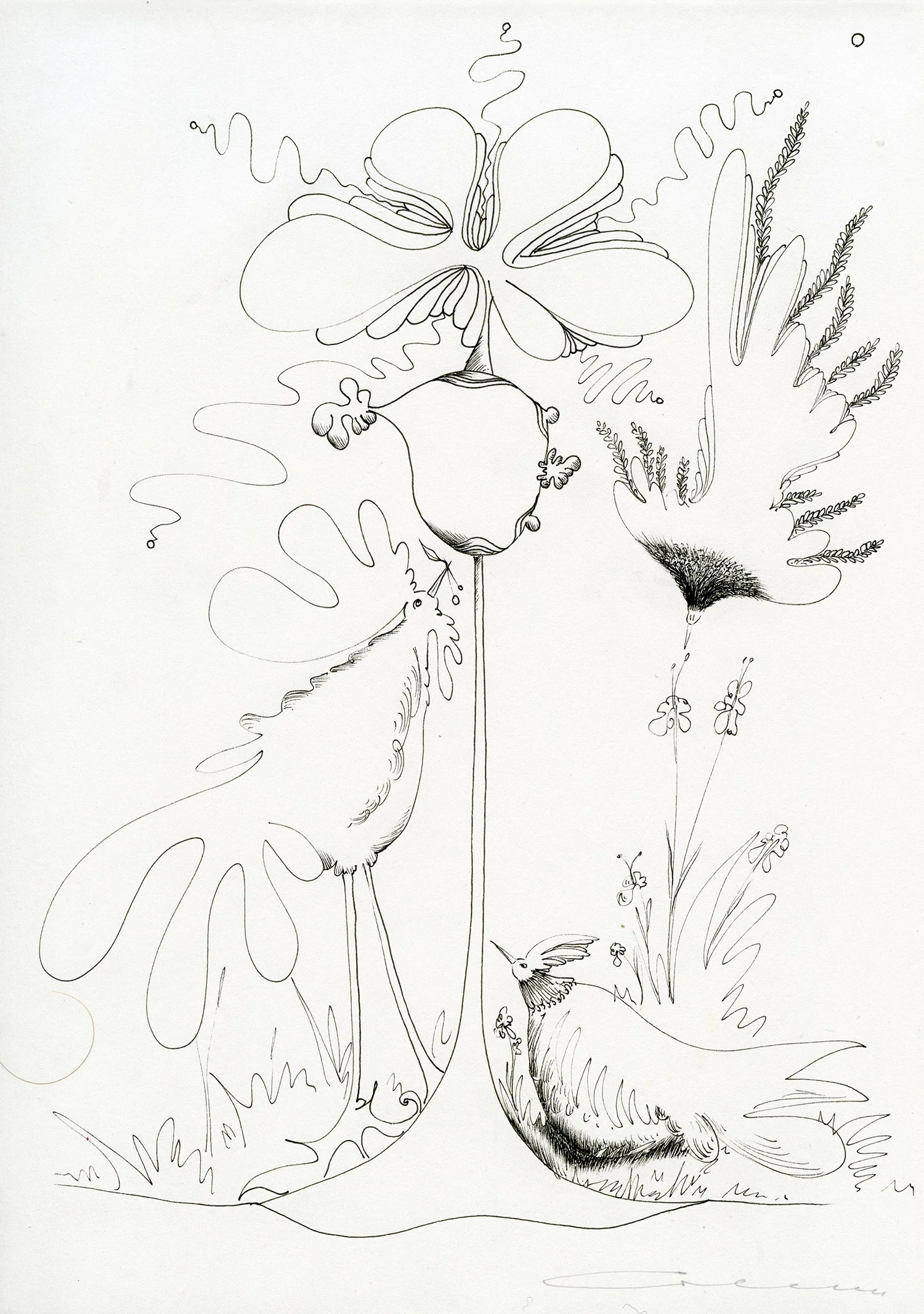 Nesting of Paradise Birds by the Fruit-Bearing Crown of the Fragrant Windwing