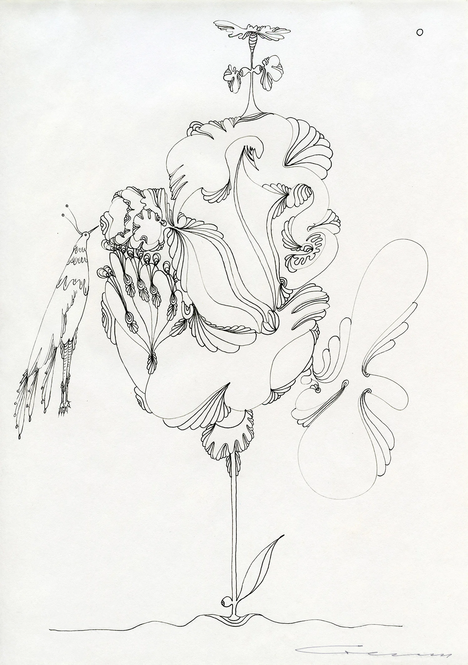 Stemmed Nectarinius and a Paradise Bird in a Moment of Delight in Sweet Nectar at the Dawn of a New Day